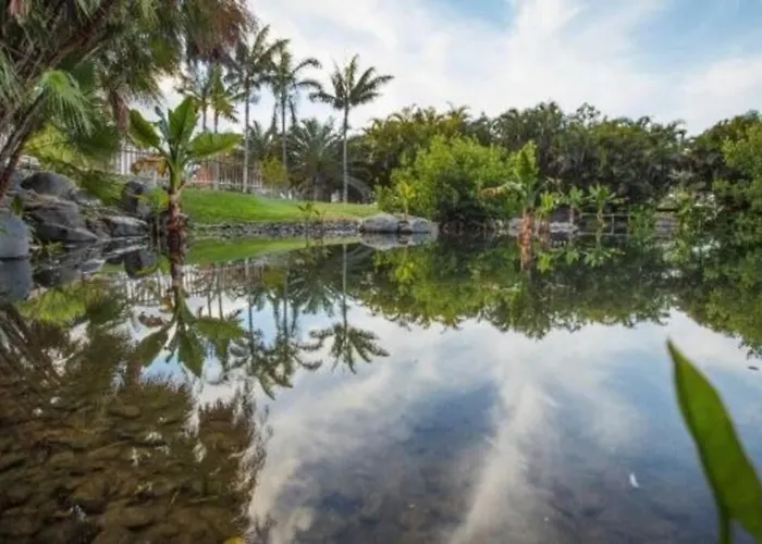 Bien Situado - Buenas Conexiones Appartement Santa Cruz de Tenerife