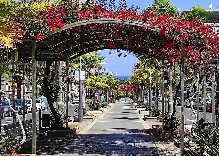 Bien Situado - Buenas Conexiones * Σάντα Κρουζ Τενερίφης