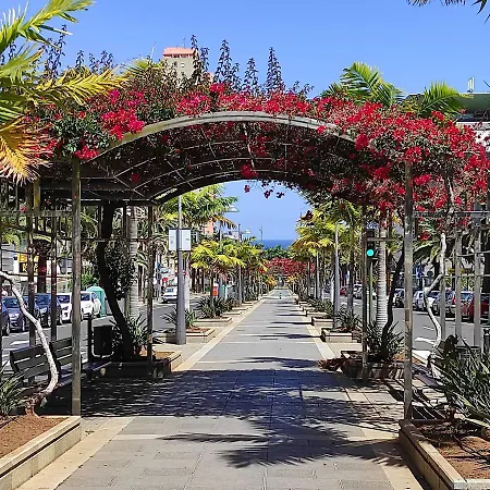Bien Situado - Buenas Conexiones * Santa Cruz de Tenerife